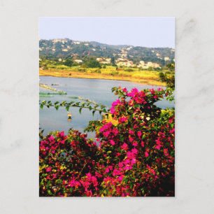 Pink flowers postcard