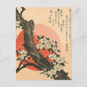 Pink flowers postcard