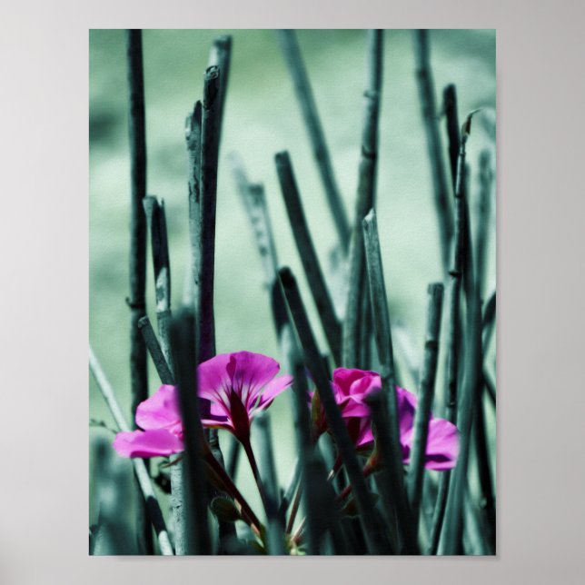 Pink Flowers Poster (Front)