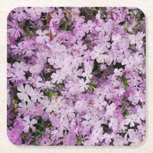 Pink flowers square paper coaster