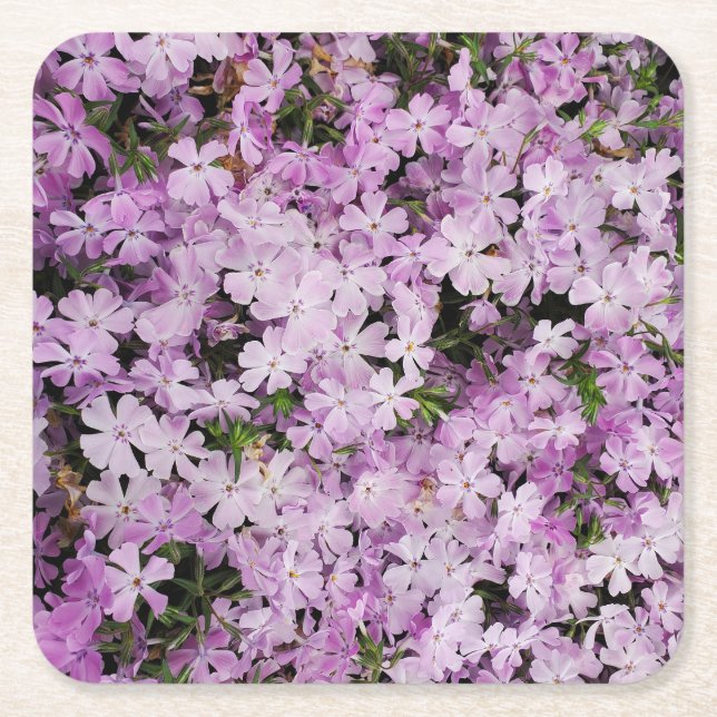 Pink flowers square paper coaster (Front)