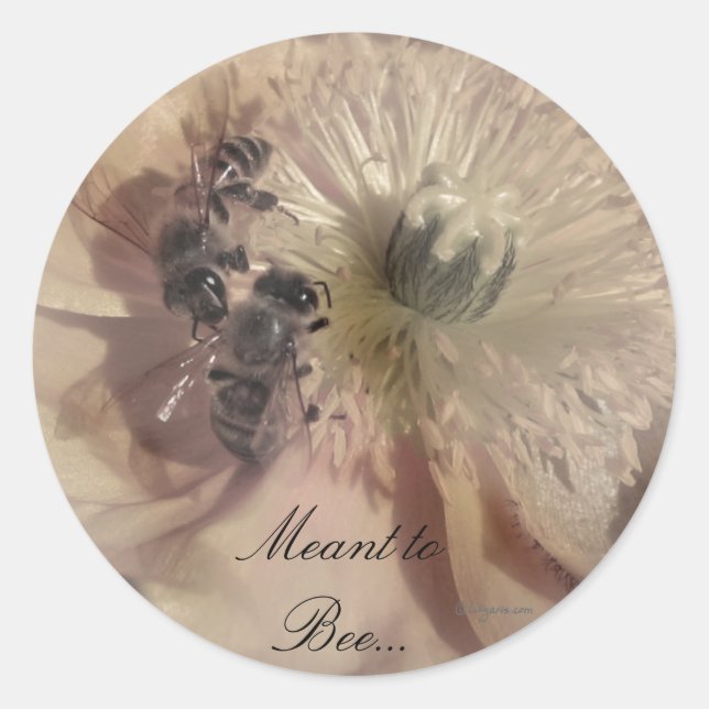 Pink Flowers Wedding Invitation Seals (Front)