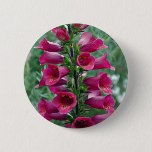 Pink foxglove flowers 6 cm round badge