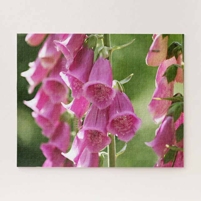 Pink Foxglove Flowers Jigsaw Puzzle (Horizontal)