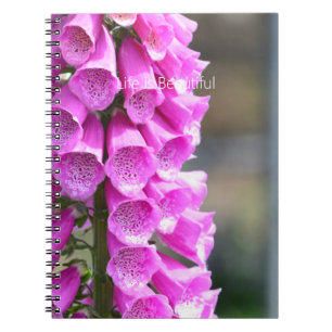 Pink Foxglove Flowers (my photography) Notebook