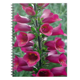 Pink foxglove flowers notebook