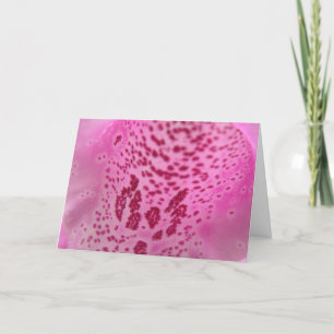 Pink Foxglove Petal Custom Greeting Card