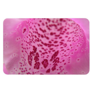 Pink Foxglove Petal Premium Magnet