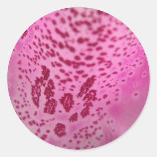 Pink Foxglove Petal Stickers