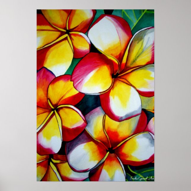 Pink Frangipani art poster by Sacha Grossel Art (Front)