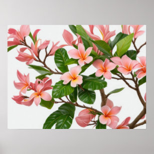 Pink Frangipani Flower Poster