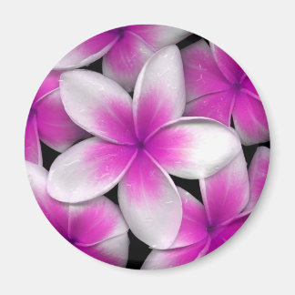 pink frangipani magnet
