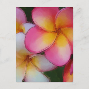 Pink Frangipani Plumeria Flowers Postcard