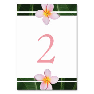 Pink Frangipani Plumeria Wedding Table Number