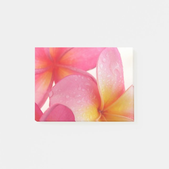 Pink Frangipani Post-it® Notes 10.2 x 7.6 (Front)