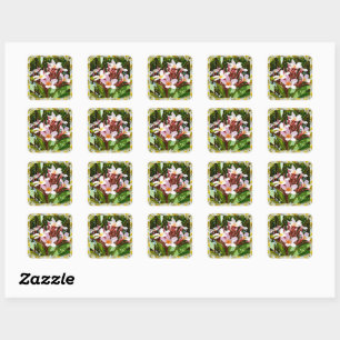 Pink Frangipani Tree In Flower,    Square Sticker
