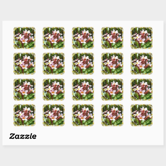 Pink Frangipani Tree In Flower,    Square Sticker (Sheet)