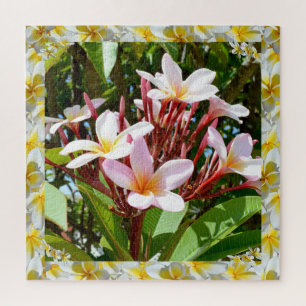 Pink Frangipani Tree With Yellow Frangipani Edge, Jigsaw Puzzle