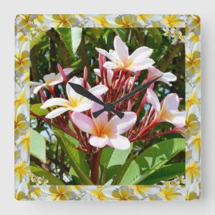 Pink Frangipanis Framed By Yellow Frangipanis, Square Wall Clock