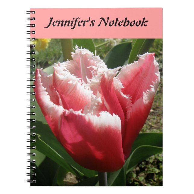 Pink Fringed Tulip Customisable Notebook (Front)