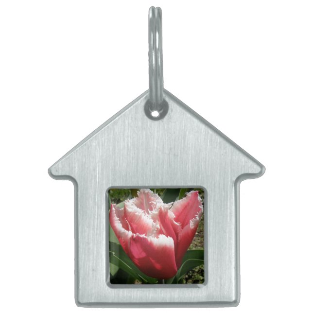 Pink Fringed Tulip Pet Tag (Front)