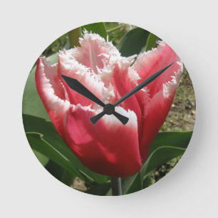 Pink Fringed Tulip Wall Clock
