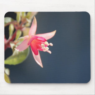 Pink Fuchsia Mousepad