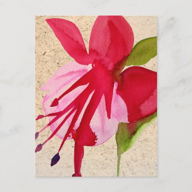 Pink Fuchsia watercolour flower pop art Postcard (Front)
