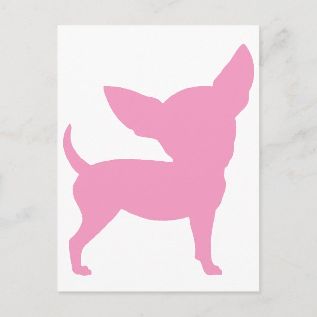 Pink Funny Chihuahua Postcard (Front)