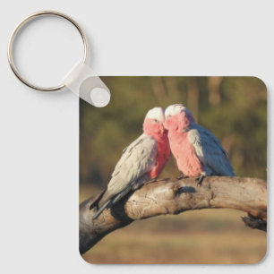 Pink Galahs Key Ring