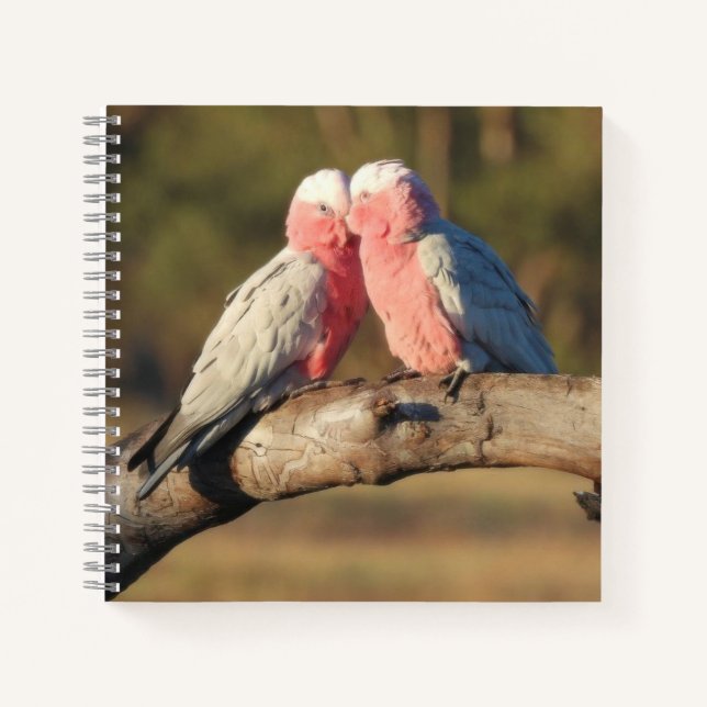 Pink Galahs Notebook (Front)