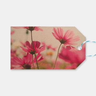 Pink Garden Cosmos Flowers Gift Tag