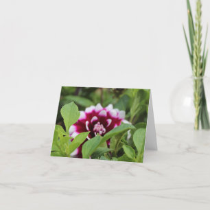 Pink Garden Daliha Mothers Day  Holiday Card