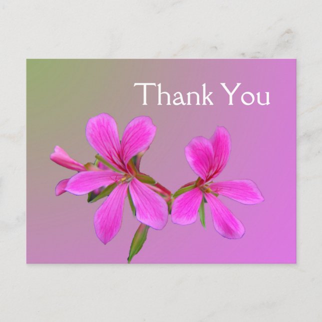 Pink garden flower thank you postcards. postcard (Front)