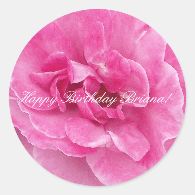 Pink Garden Rose Classic Round Sticker (Front)