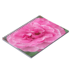 Pink Garden Rose Notebook