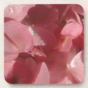 Pink geranium: almost solid Light pink Coaster