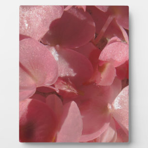 Pink geranium: almost solid Light pink Plaque