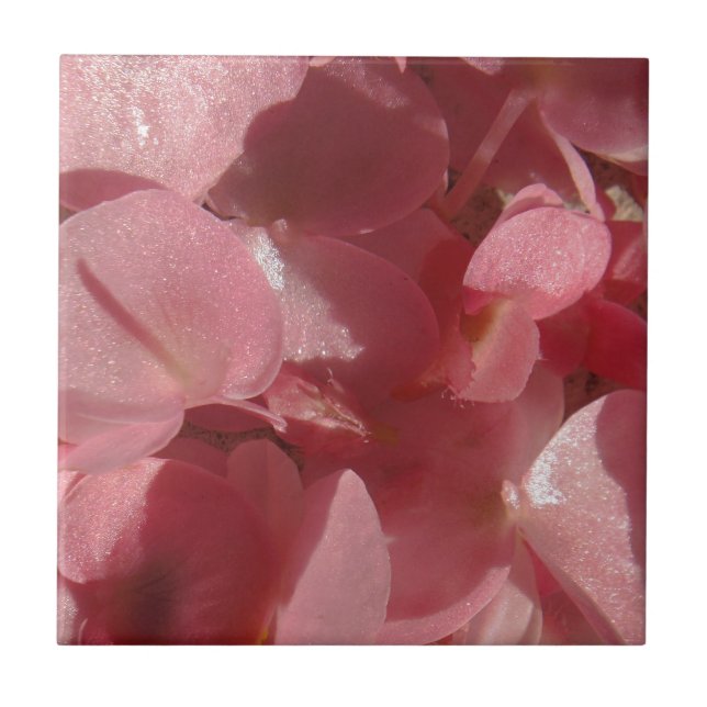 Pink geranium: almost solid Light pink Tile (Front)