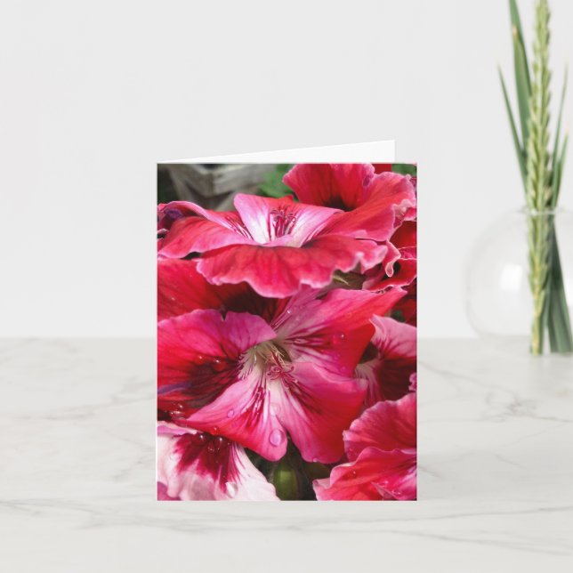 Pink Geranium Blooms Card (Front)