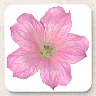 Pink Geranium Coaster