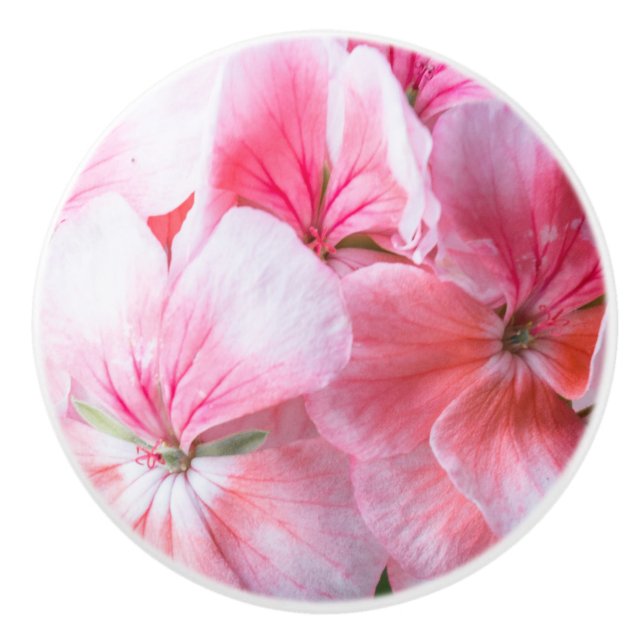 Pink geranium flower ceramic knob (Front)