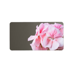 Pink geranium flower label