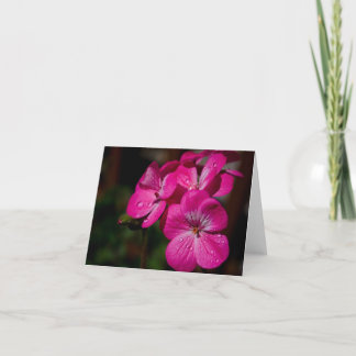 Pink Geranium Note Card
