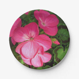 Pink Geranium Paper Plate