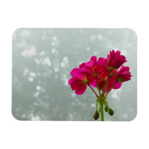Pink Geranium Photo Magnet