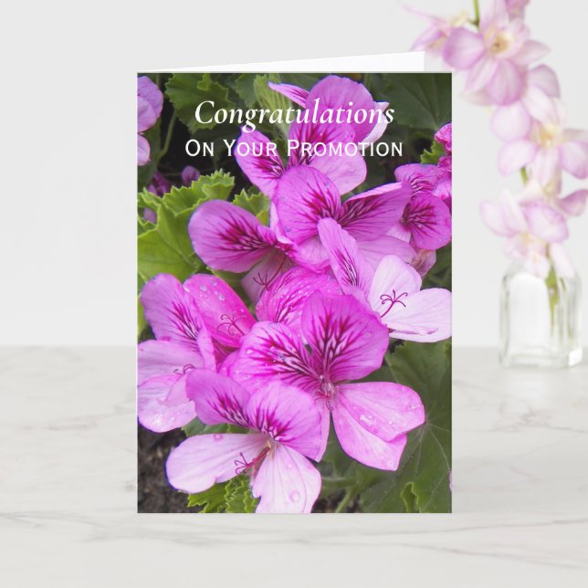 Pink Geraniums Job Promotion Congratulations Card (Orchid)