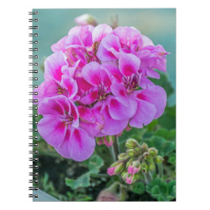 Pink geraniums notebook