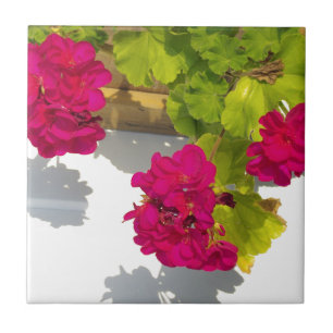 Pink Geraniums, pretty hot pink flowers Ceramic Tile