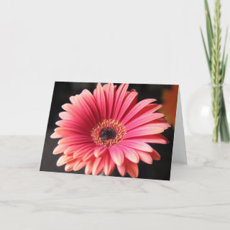 Pink Gerber Card